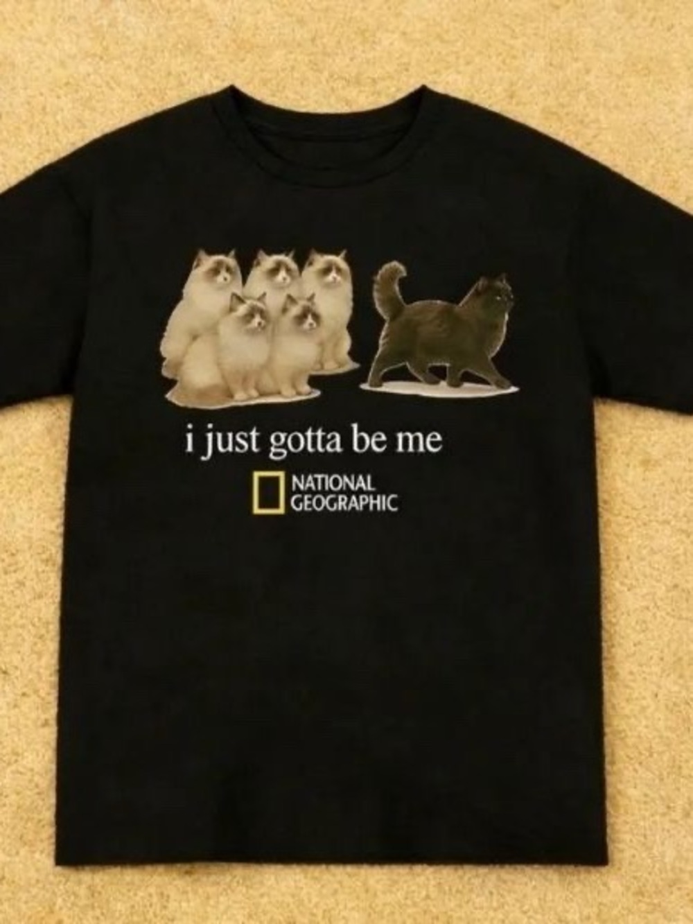 National Geographic Black Tee with Cat Graphics
